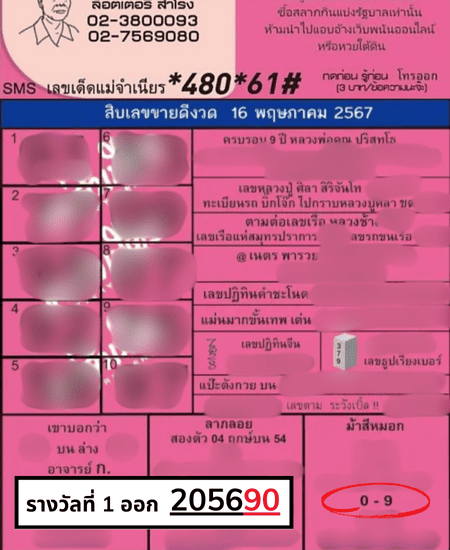 ม้าสีหมอกแม่จำเนียร 16 5 67