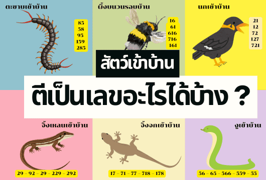 สัตว์เข้าบ้าน-ตีเป็นเลขอะไร