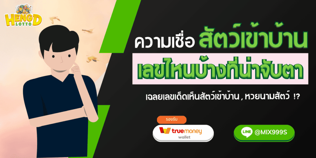สัตว์เข้าบ้าน-เลขเด็ด