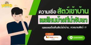 สัตว์เข้าบ้าน-เลขเด็ด