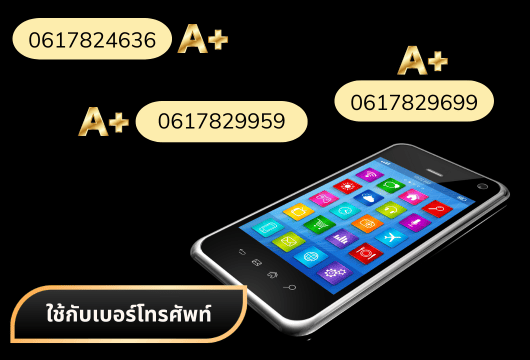 เบอร์มงคล-ตัวเลข